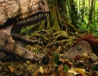 Dinosaurs wallpaper 019