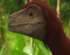 Dinosaurs wallpaper 022