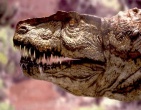 Dinosaurs wallpaper 025