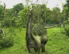 Dinosaurs wallpaper 027