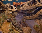 Dinosaurs wallpaper 038