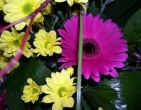Flowers wallpaper 008