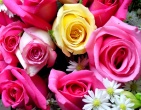 Flowers wallpaper 059