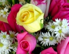 Flowers wallpaper 060