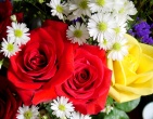 Flowers wallpaper 066