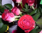 Flowers wallpaper 078