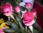 Flowers wallpaper 079