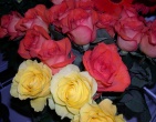 Flowers wallpaper 090