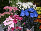 Flowers wallpaper 094