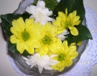Flowers wallpaper 143