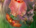 Flowers wallpaper 158