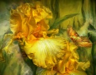 Flowers wallpaper 160