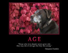 Age