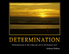 determination