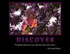 discover