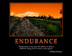 endurance