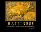 happiness