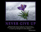 never give up