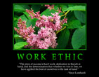 Work ethic