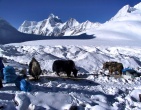 Mountains wallpaper 076