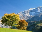 Mountains wallpaper 083