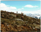 mountains wallpaper 085
