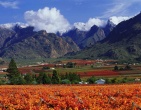 Mountains wallpaper 087