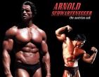 movies wallpaper 013