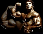 movies wallpaper 015