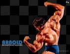 Movies wallpaper 099