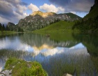 nature wallpaper 003