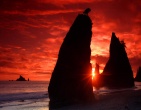 nature wallpaper 004