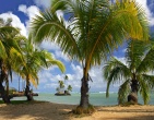 Nature wallpaper 008