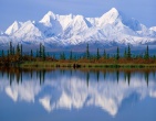nature wallpaper 017