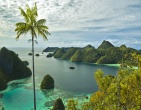nature wallpaper 019