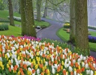 nature wallpaper 020