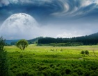 nature wallpaper 023