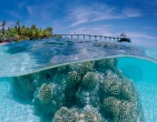 nature wallpaper 027