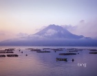 nature wallpaper 028