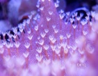 nature wallpaper 034