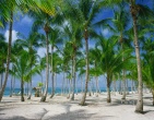 nature wallpaper 035