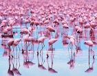 Nature wallpaper 055