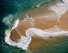 nature wallpaper 075