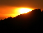 Nature wallpaper 077