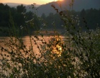 Nature wallpaper 081