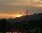 Nature wallpaper 082