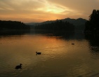 nature wallpaper 100