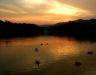 nature wallpaper 101