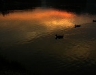 Nature wallpaper 105