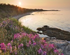 Nature wallpaper 114
